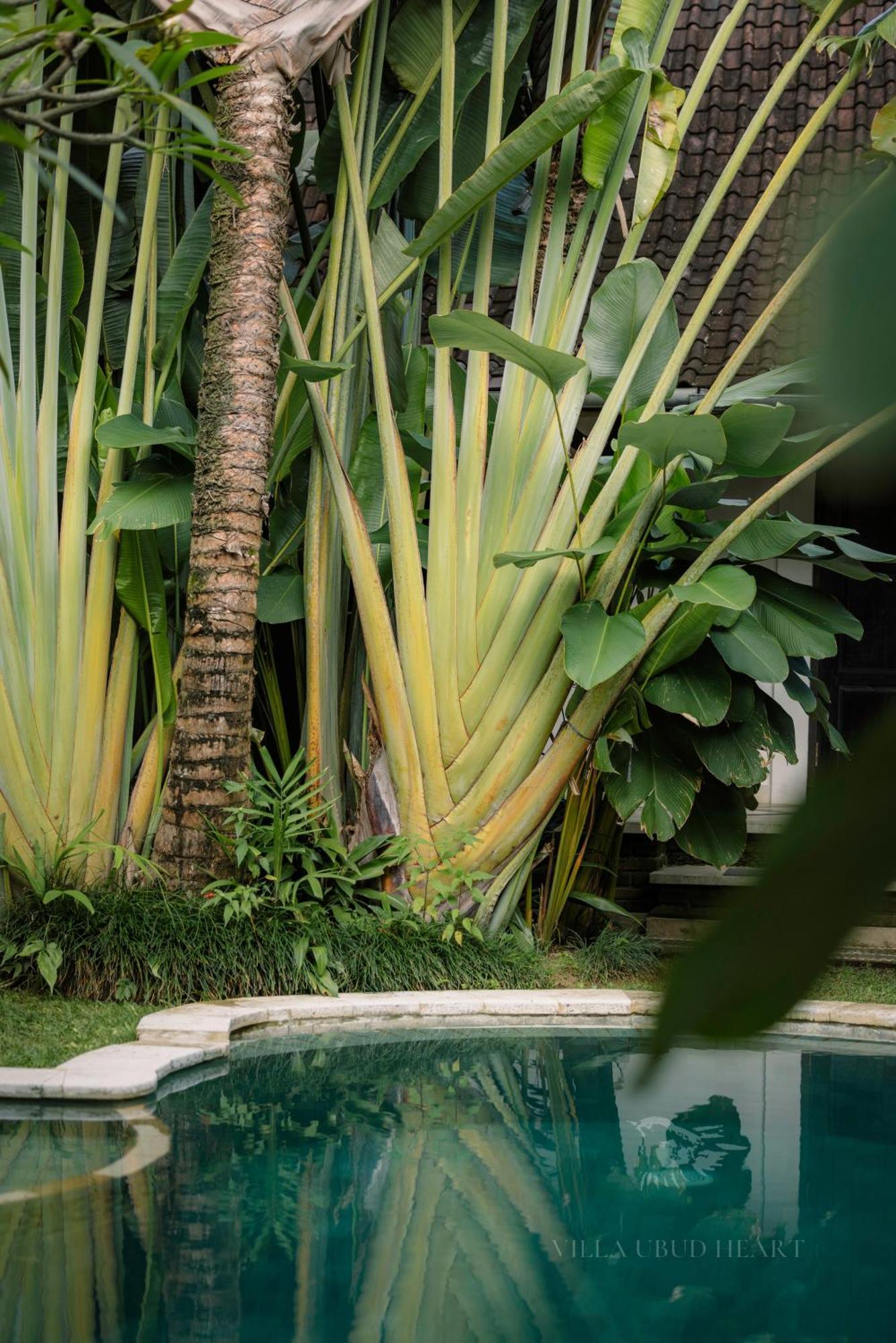 Villa Ubud Heart Zewnętrze zdjęcie